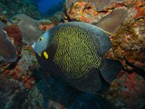 Pousada em Fernando de Noronha